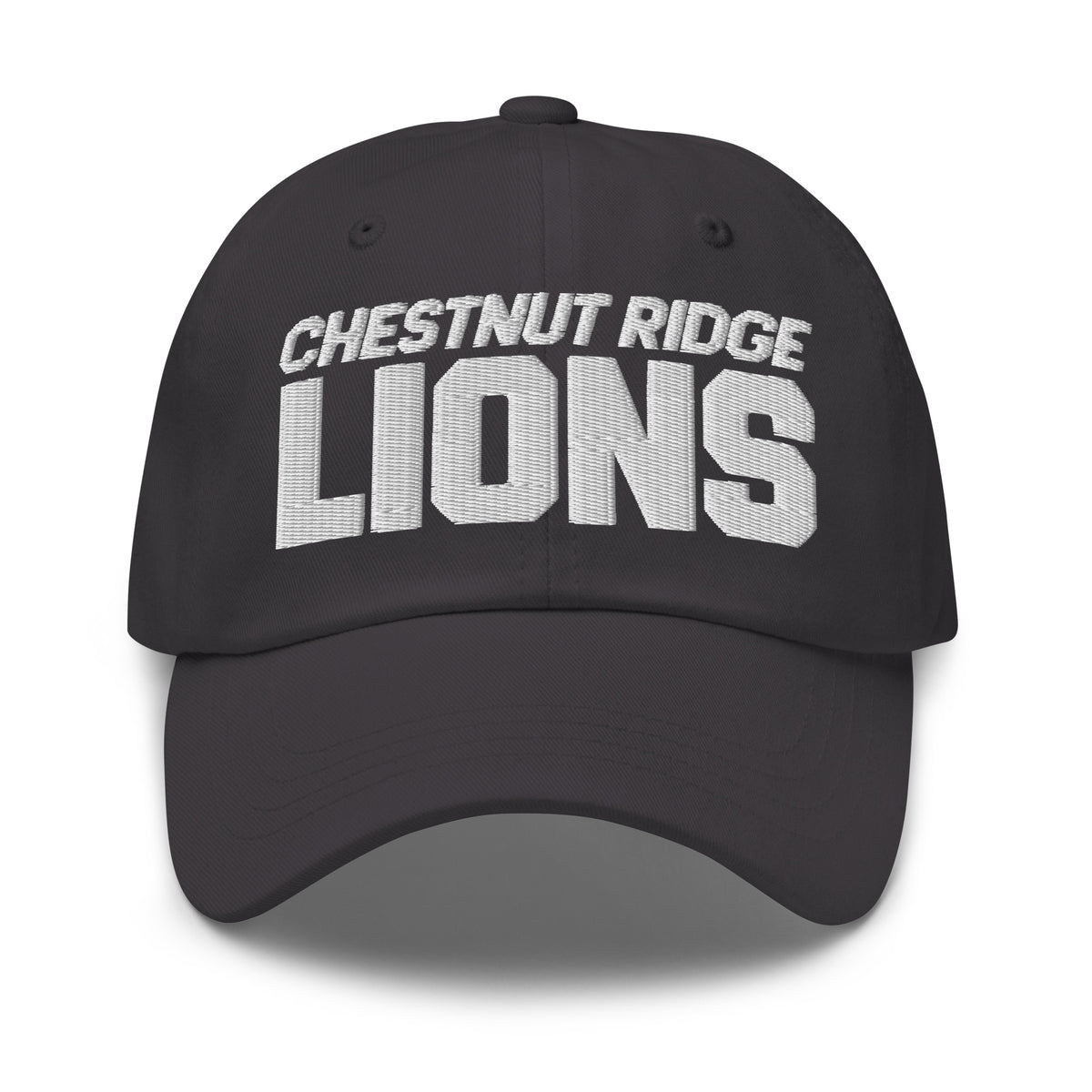 Dad Hat | Chestnut Ridge Lions Football | Script Logo