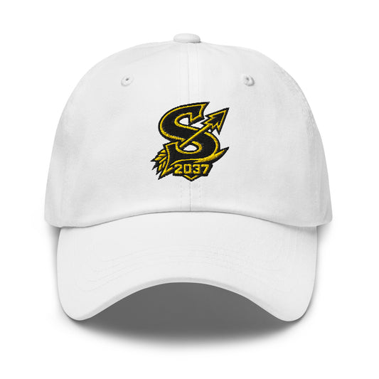 Dad Hat | 2037 Sachem Arrows | Emblem Logo