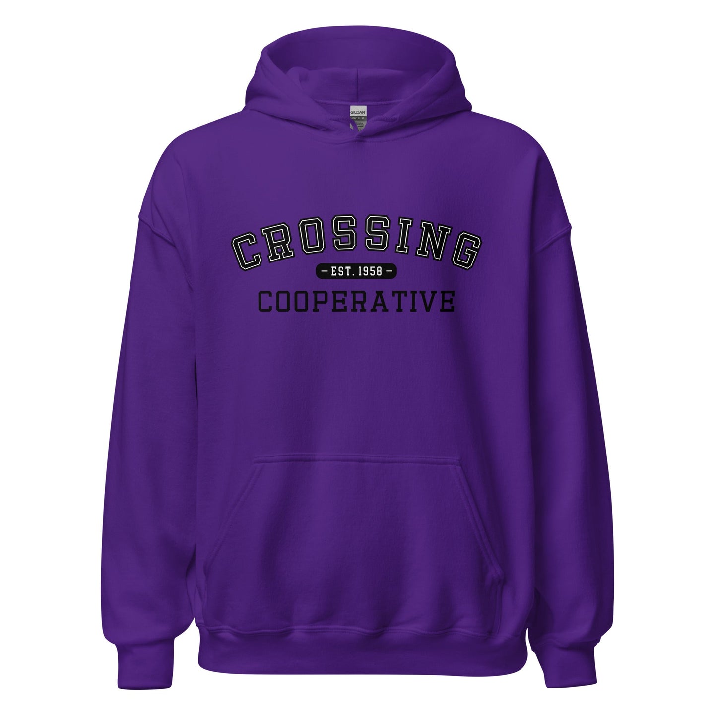 Classic | Hoodie | CCNS | Collegiate Logo