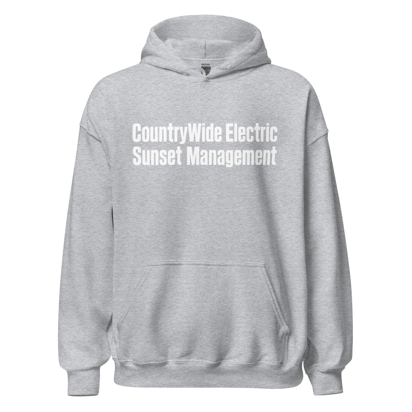 Classic | Hoodie | FerDa Chicks | Modern Script Logo