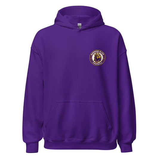 Classic | Hoodie | Iron eagle | Badge Logo
