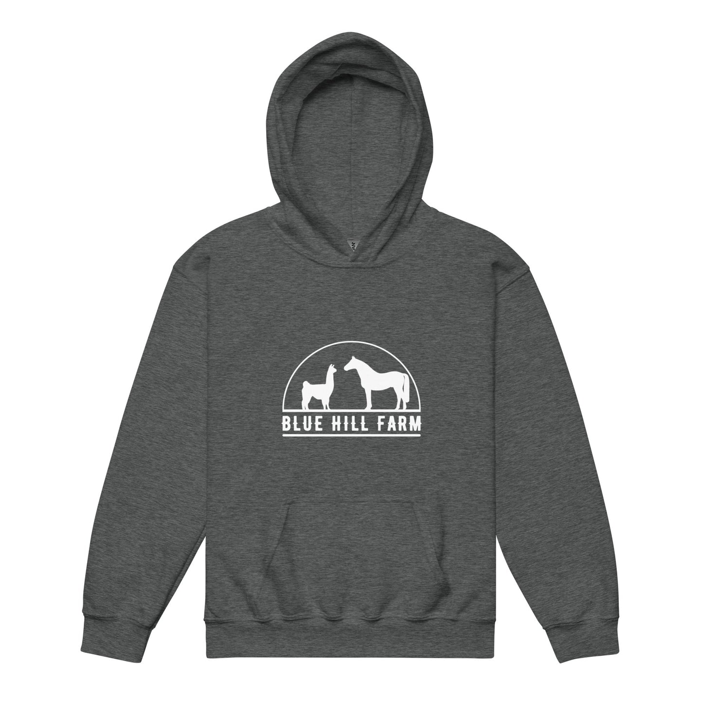 Classic | Youth Hoodie | Blue Hill Farm | Ranch Logo