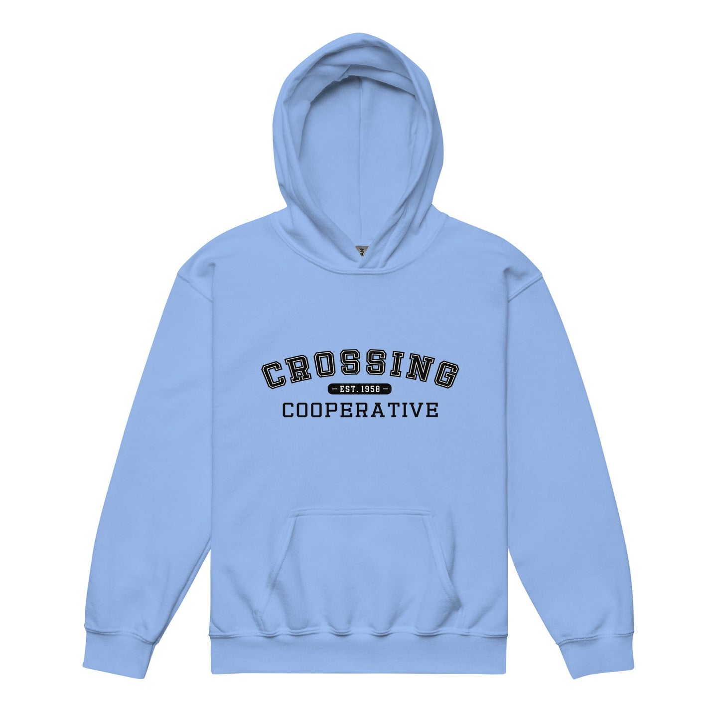 Classic | Youth Hoodie | CCNS | Collegiate Logo
