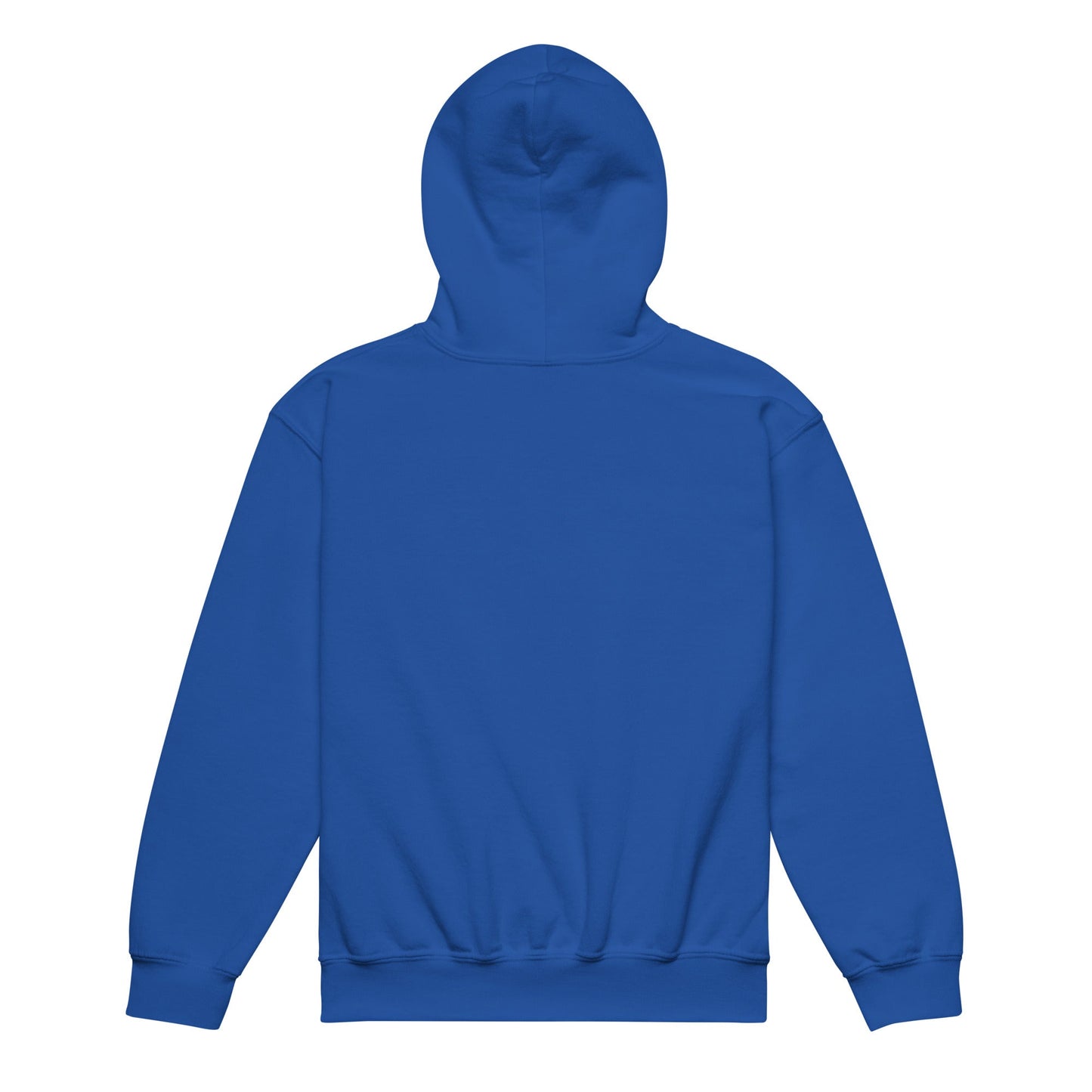 Classic | Youth Hoodie | Denmark Technical College | Baseball Logo