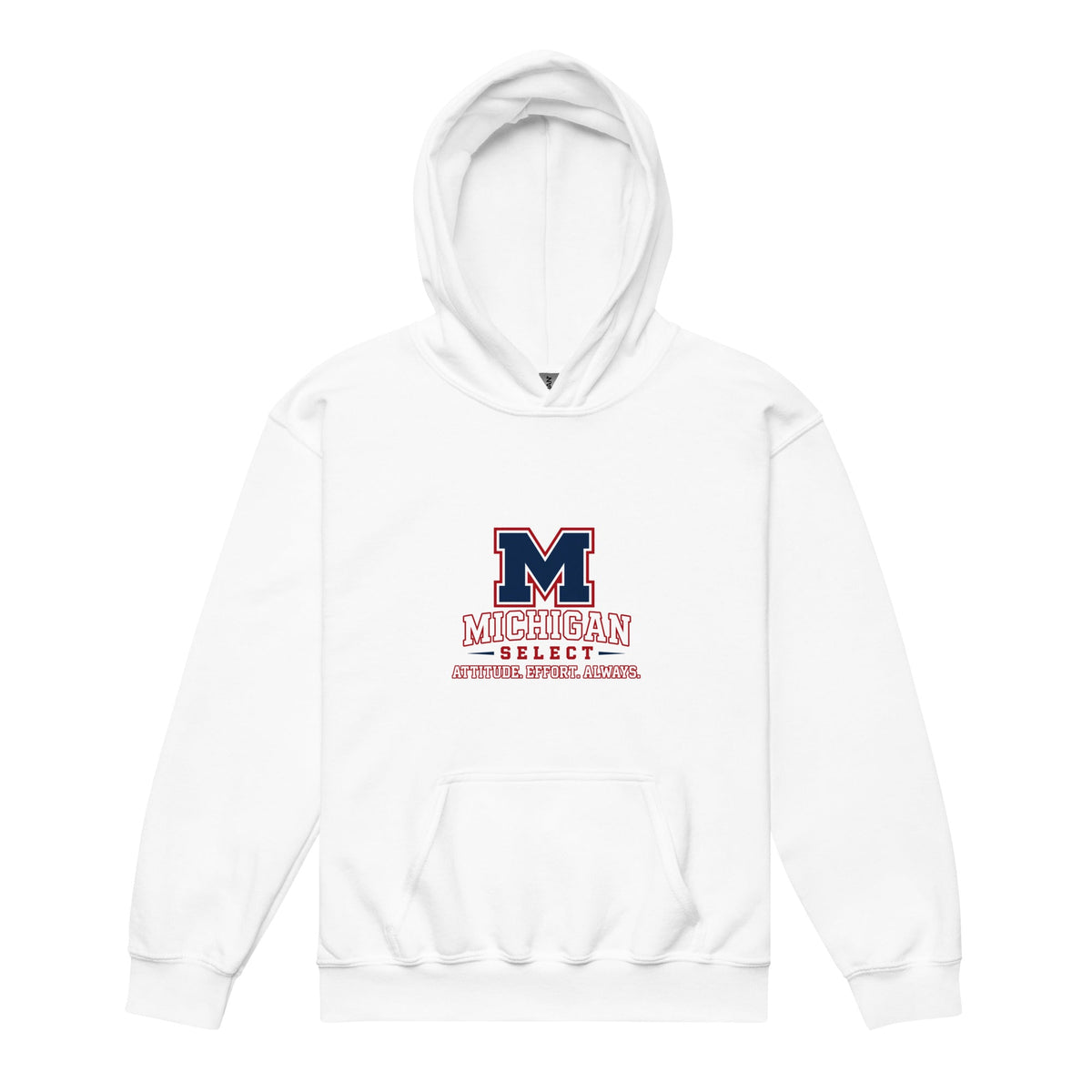 Classic | Youth Hoodie | Michigan Select Baseball | Crest Logo
