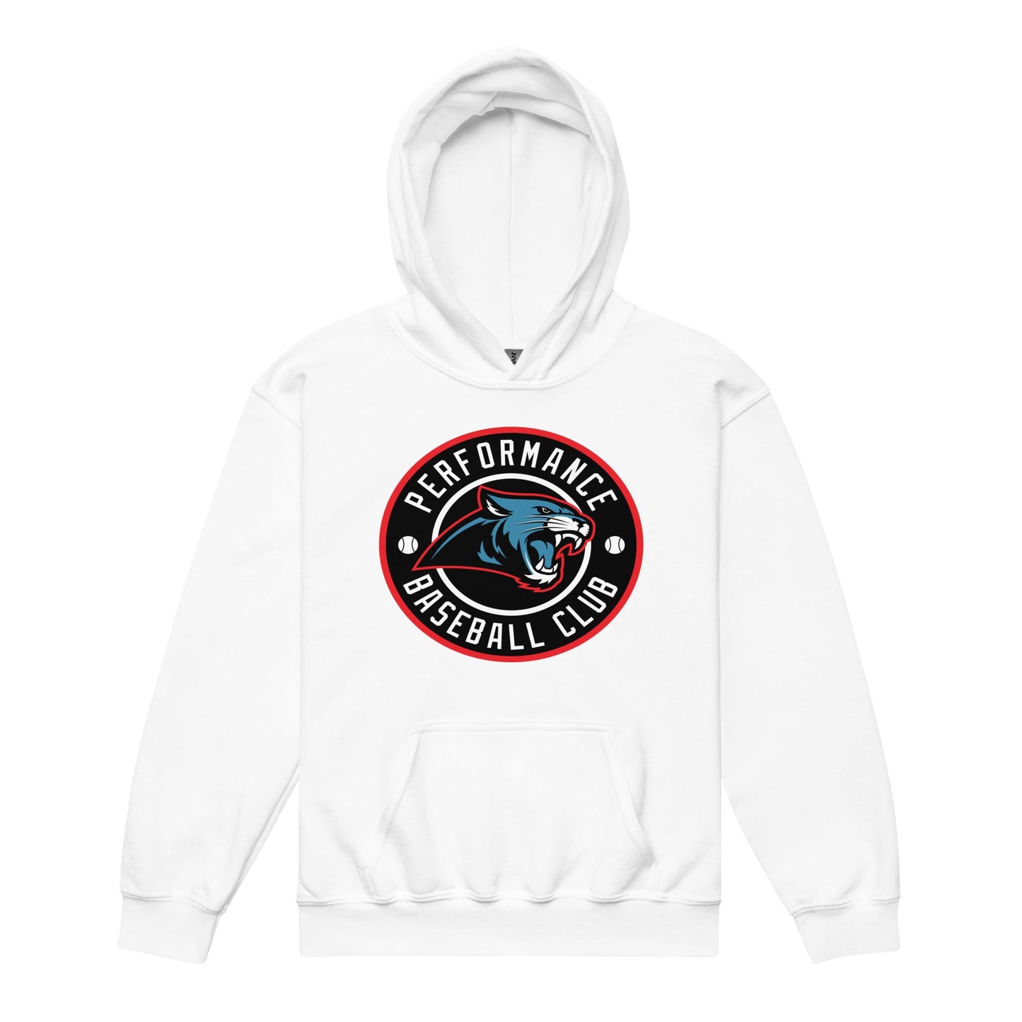 Classic | Youth Hoodie | Performance Baseball Club