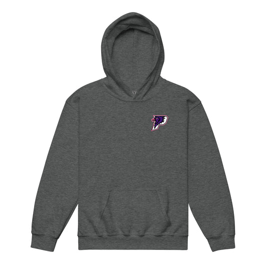 Classic | Youth Hoodie | Phoenix Fastpitch | Apex P-Hawks Logo