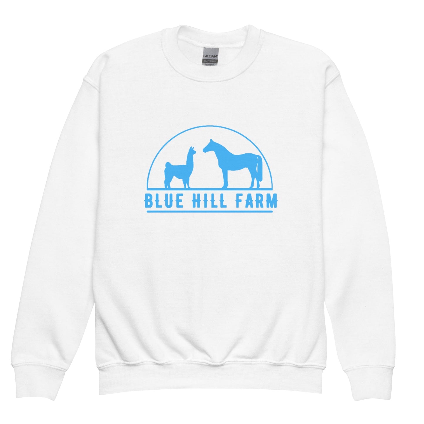 Classic | Youth Sweatshirt | Blue Hill Farm | Emblem Logo