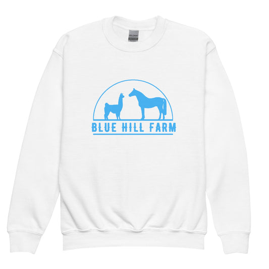 Classic | Youth Sweatshirt | Blue Hill Farm | Emblem Logo