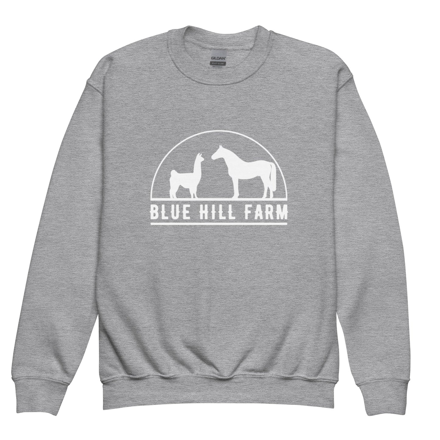 Classic | Youth Sweatshirt | Blue Hill Farm | Ranch Logo