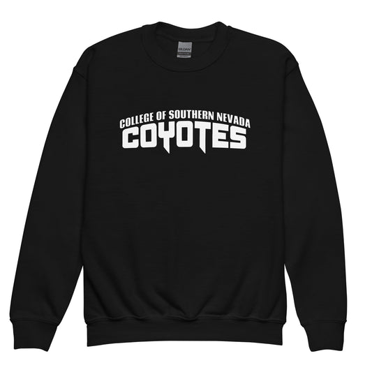 Classic | Youth Sweatshirt | CSN Volleyball | Alt Script Logo