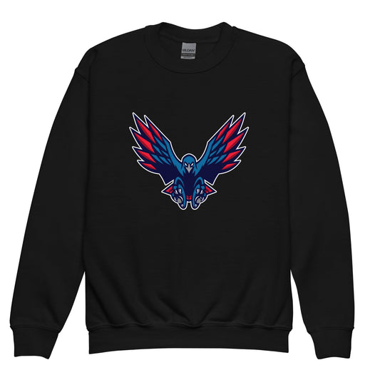 Classic | Youth Sweatshirt | HSE | Vortex Raptor Mascot Logo