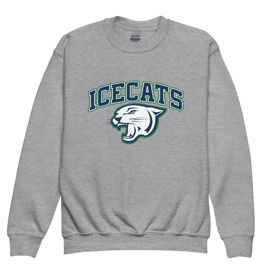 Classic | Youth Sweatshirt | Ice Cats