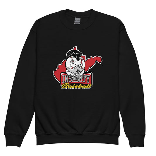Classic | Youth Sweatshirt | Insanity Baseball
