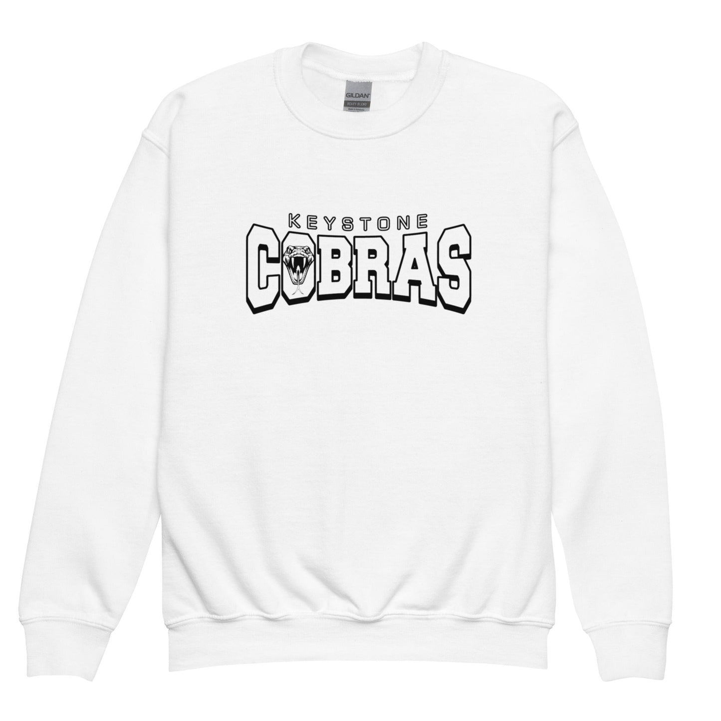 Classic | Youth Sweatshirt | Keystone Cobras | Snake Mark Logo