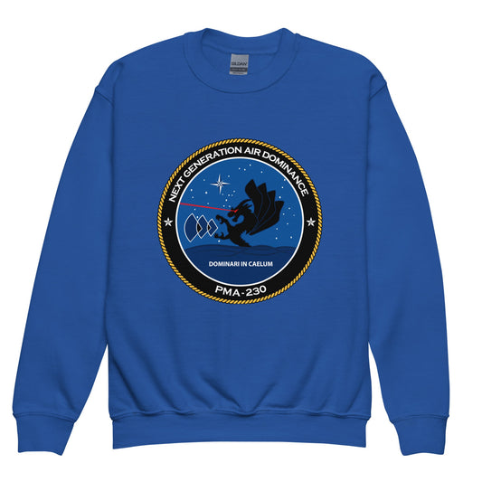 Classic | Youth Sweatshirt | Next Generation Air Dominance | Badge Logo