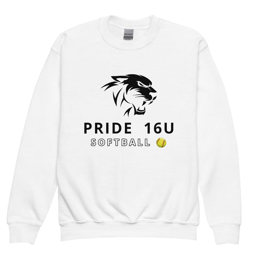 Classic | Youth Sweatshirt | NNY Pride Softball | Emblem Logo