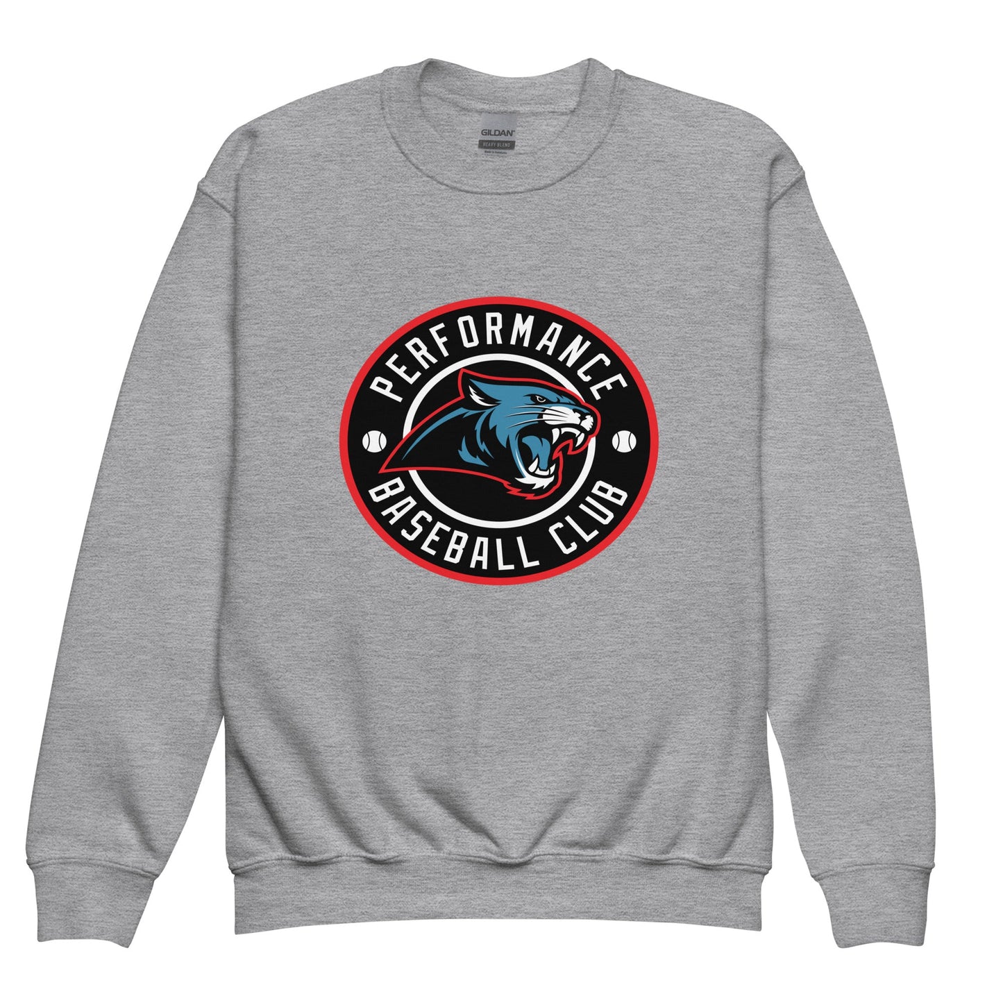 Classic | Youth Sweatshirt | Performance Baseball Club