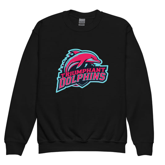 Classic | Youth Sweatshirt | SE Triumphant Dolphins | Dolphins Alternate Logo