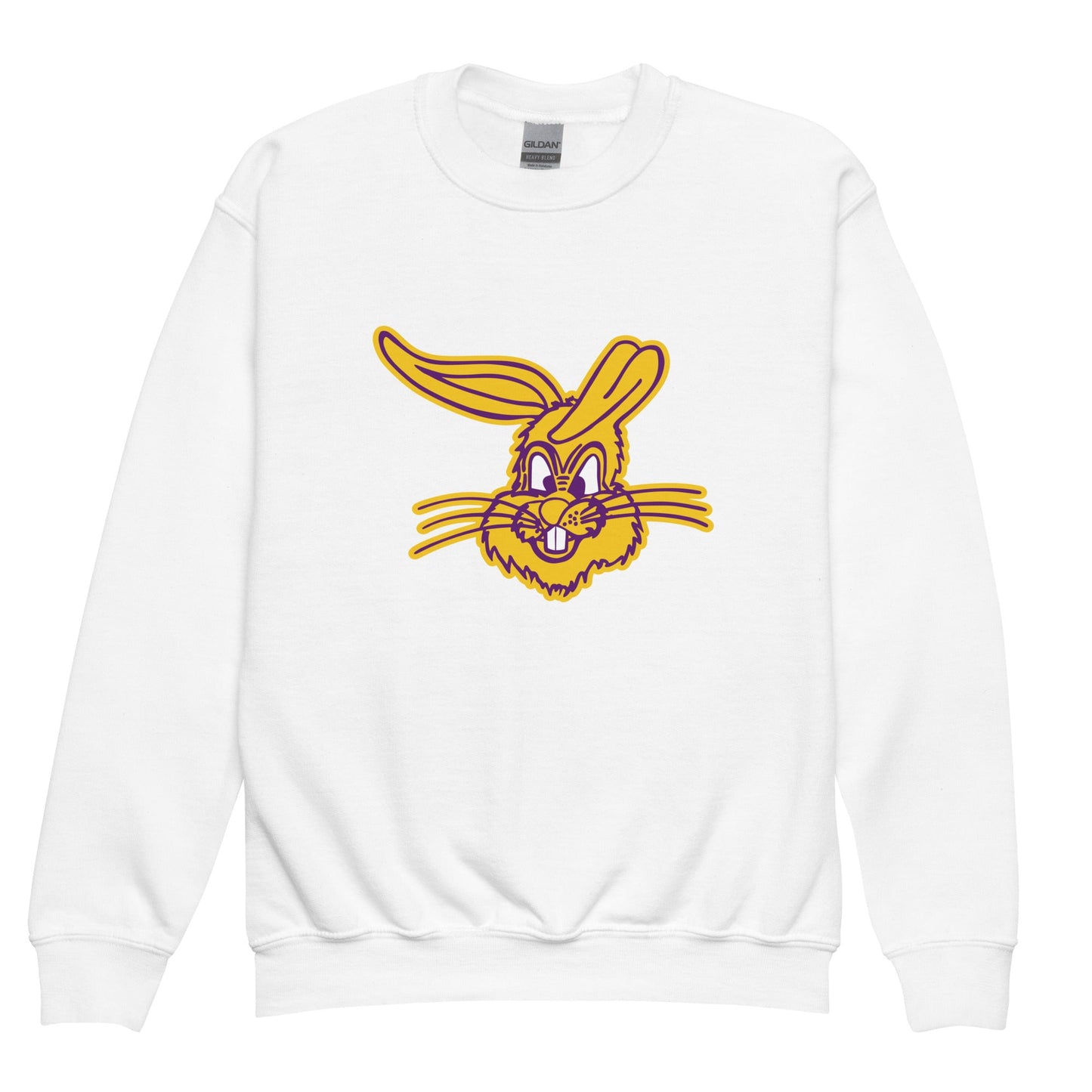 Classic | Youth Sweatshirt | Somerset Athletics | Jumpers mascot Logo