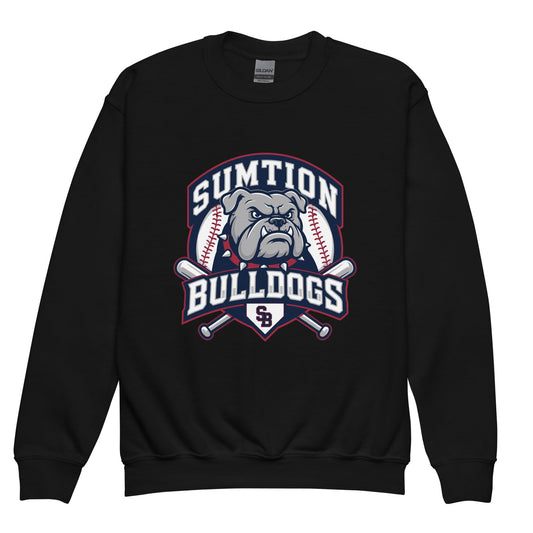 Classic | Youth Sweatshirt | Sumtion bulldogs | Emblem Logo