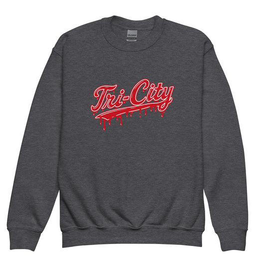 Classic | Youth Sweatshirt | Tri - City Baseball | Mark Logo