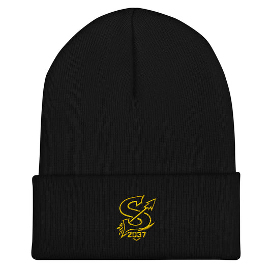Cuffed Beanie | 2037 Sachem Arrows | Emblem Logo