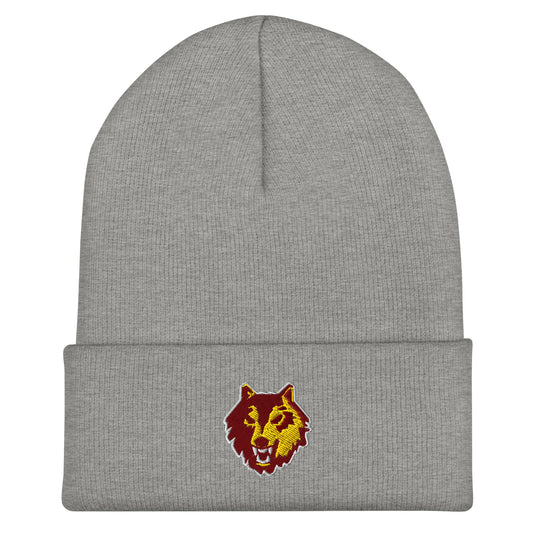 Cuffed Beanie | Loyola University Chicago Club Waterpolo