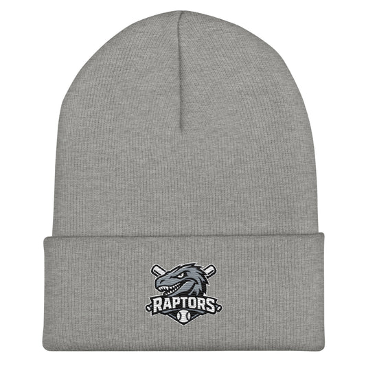 Cuffed Beanie | Raptors | Patch Logo