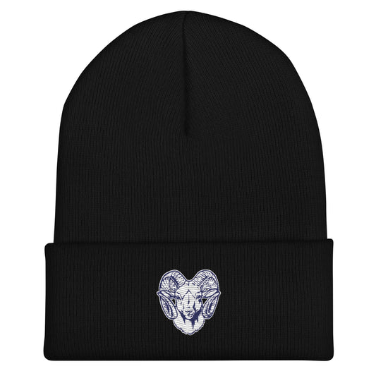 Cuffed Beanie | Rensselaer Rams