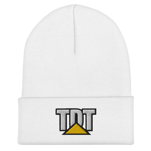 Cuffed Beanie | TDT | Mark Logo