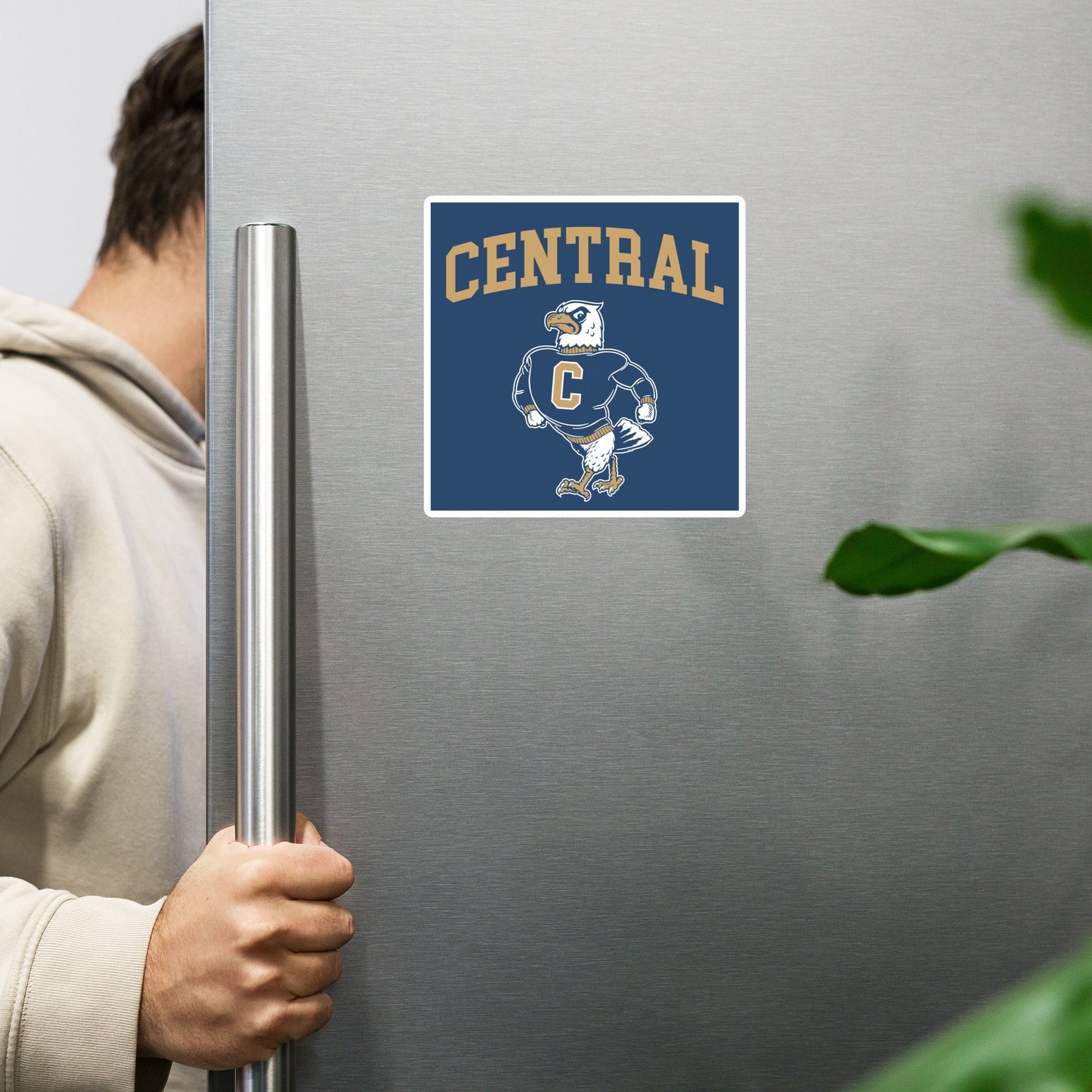 Magnets | Central High School