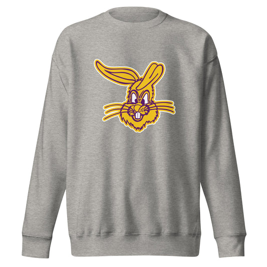 Performance | Crewneck | Somerset Athletics | Jumpers mascot Logo