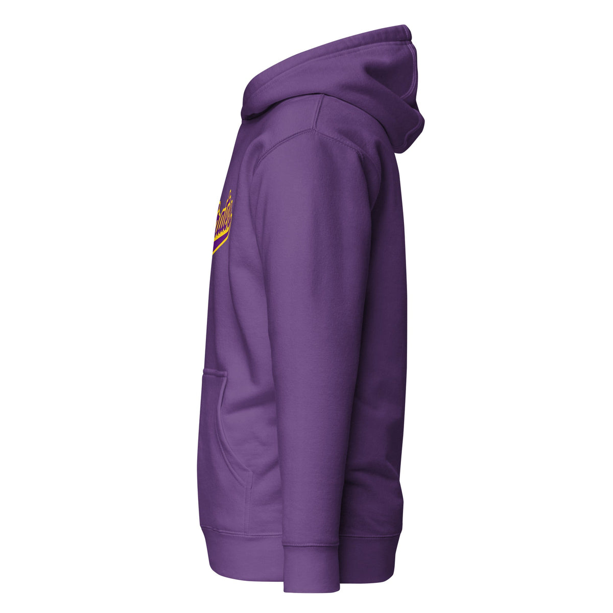 Performance | Hoodie | Carolina Pirates | Script Logo