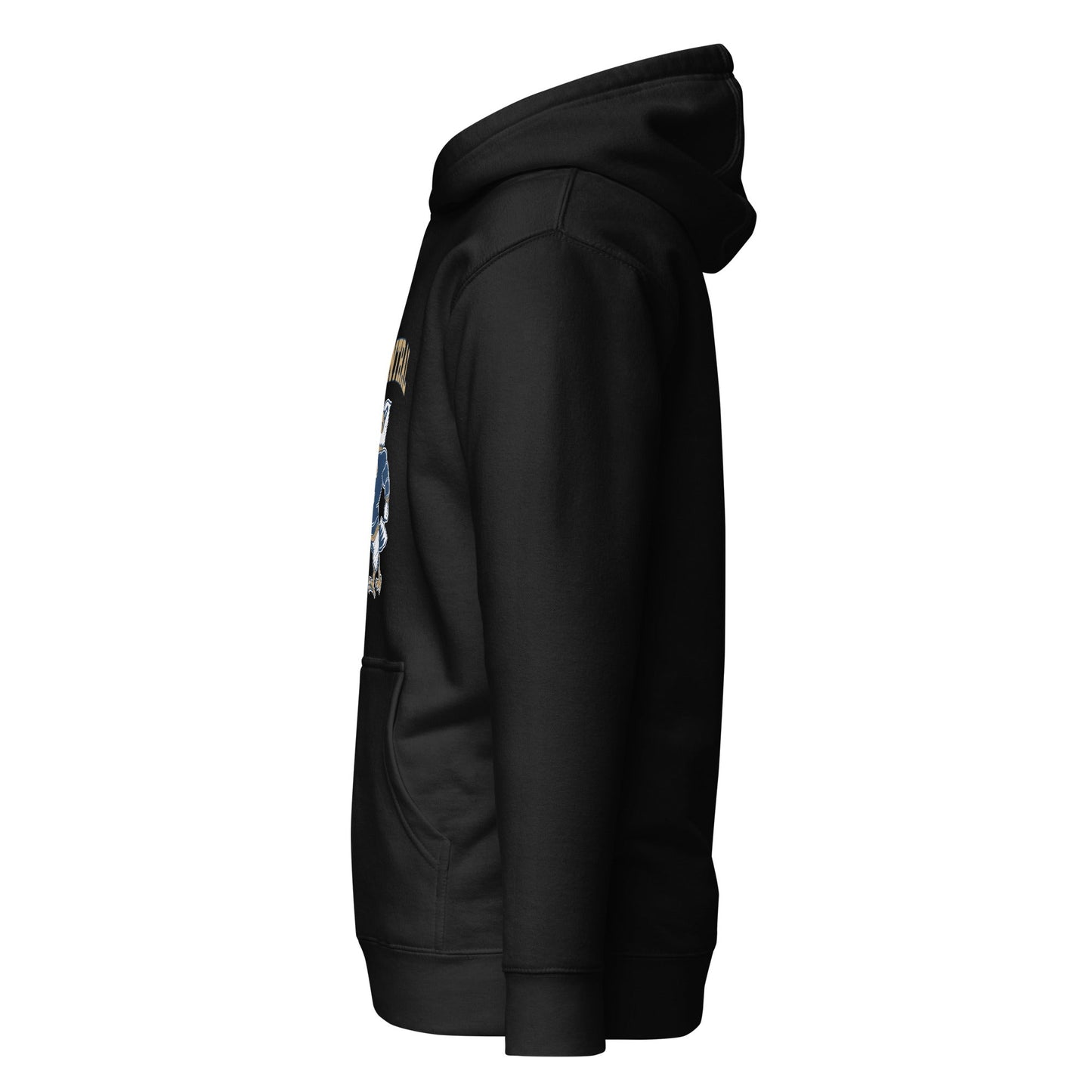 Performance | Hoodie | Central Football