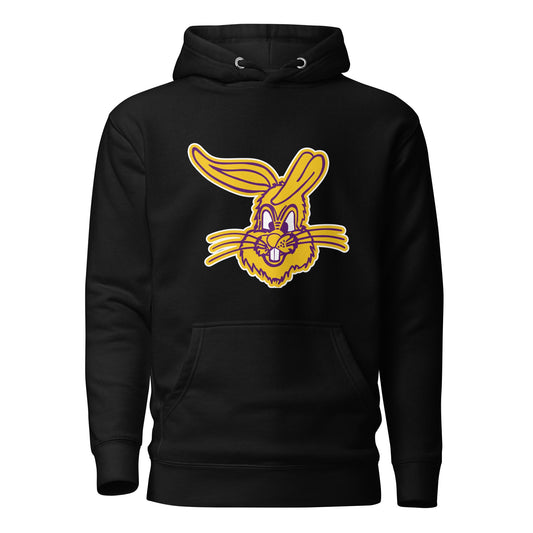 Performance | Hoodie | Somerset Athletics | Jumpers mascot Logo