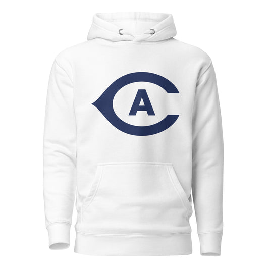 Performance | Hoodie | UCD FF