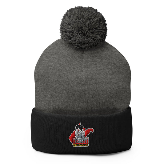 Pom - Pom Beanie | Insanity Baseball