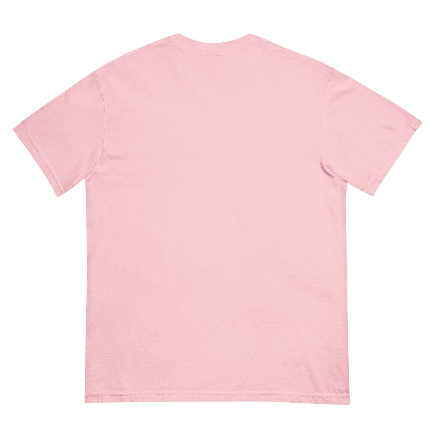 Signature | Comfort Colors T-Shirt | BYX Island Party