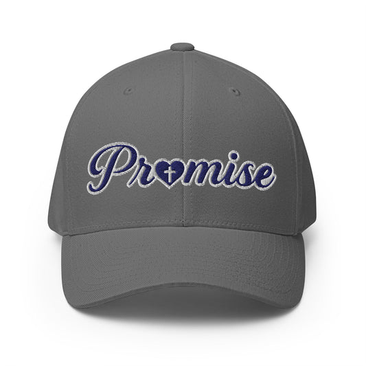 Signature | Flexfit Baseball Cap | Sons and Daughters of Promise, Inc. | Mark Logo