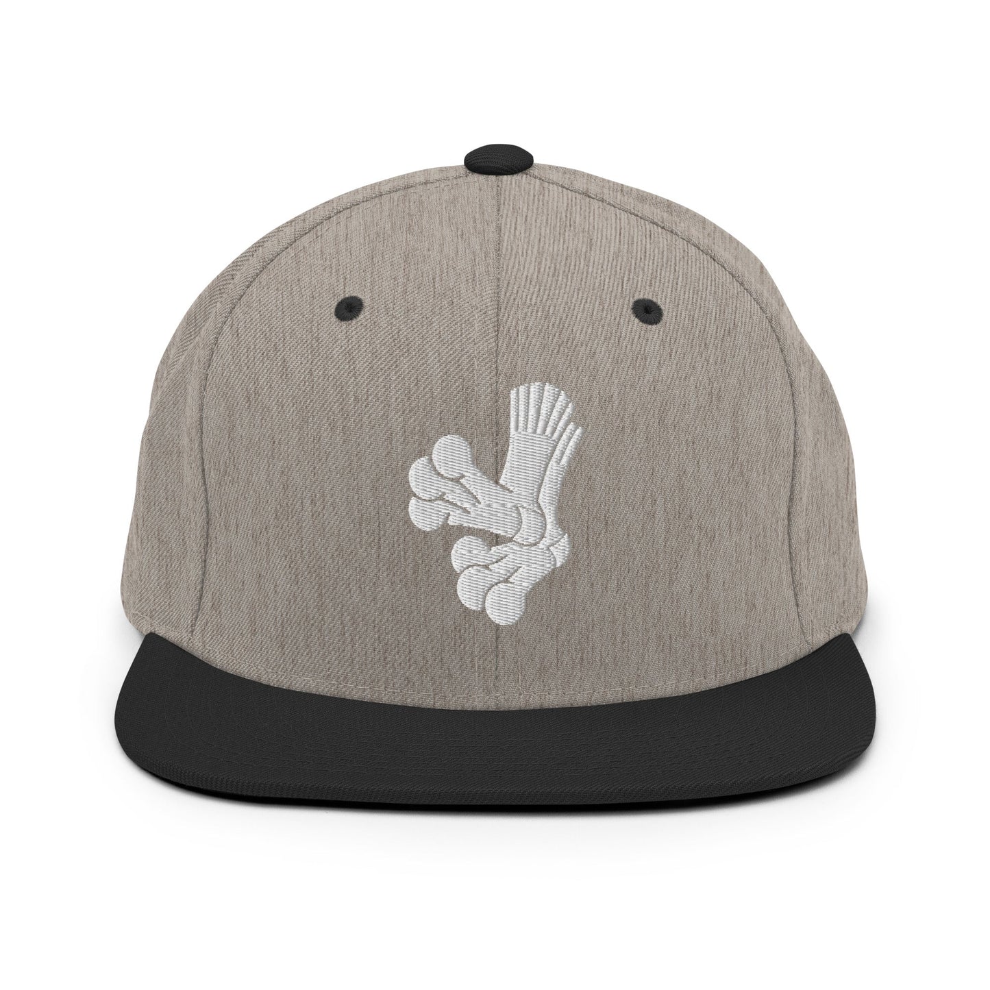 Snapback Hat | Aquasox Softball | Athletic Sock Logo