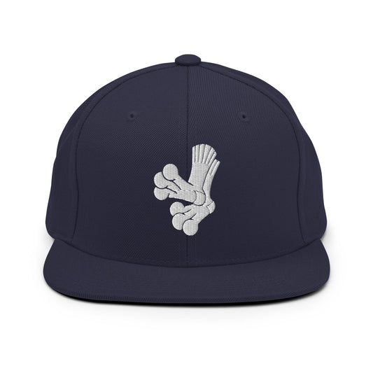 Snapback Hat | Aquasox Softball | Athletic Sock Logo