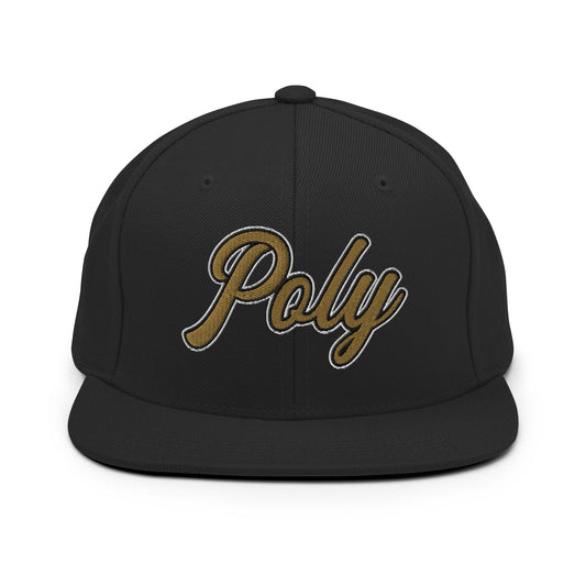 Snapback Hat | Purdue Polytechnic High School