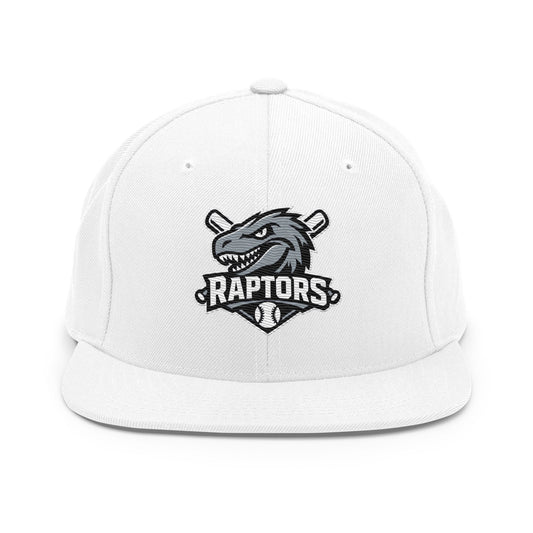 Snapback Hat | Raptors | Patch Logo