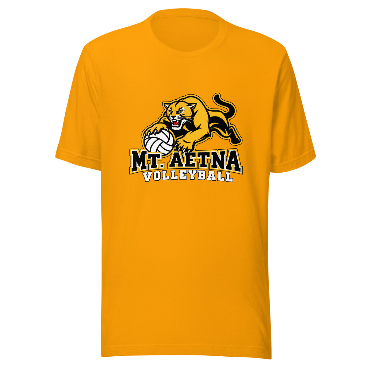 Performance | T-Shirt | Mt. Aetna Adventist School | Volleyball Apex Logo
