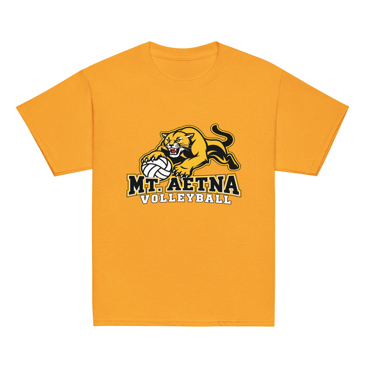 Classic | Youth T Shirt | Mt. Aetna Adventist School | Volleyball Apex Logo