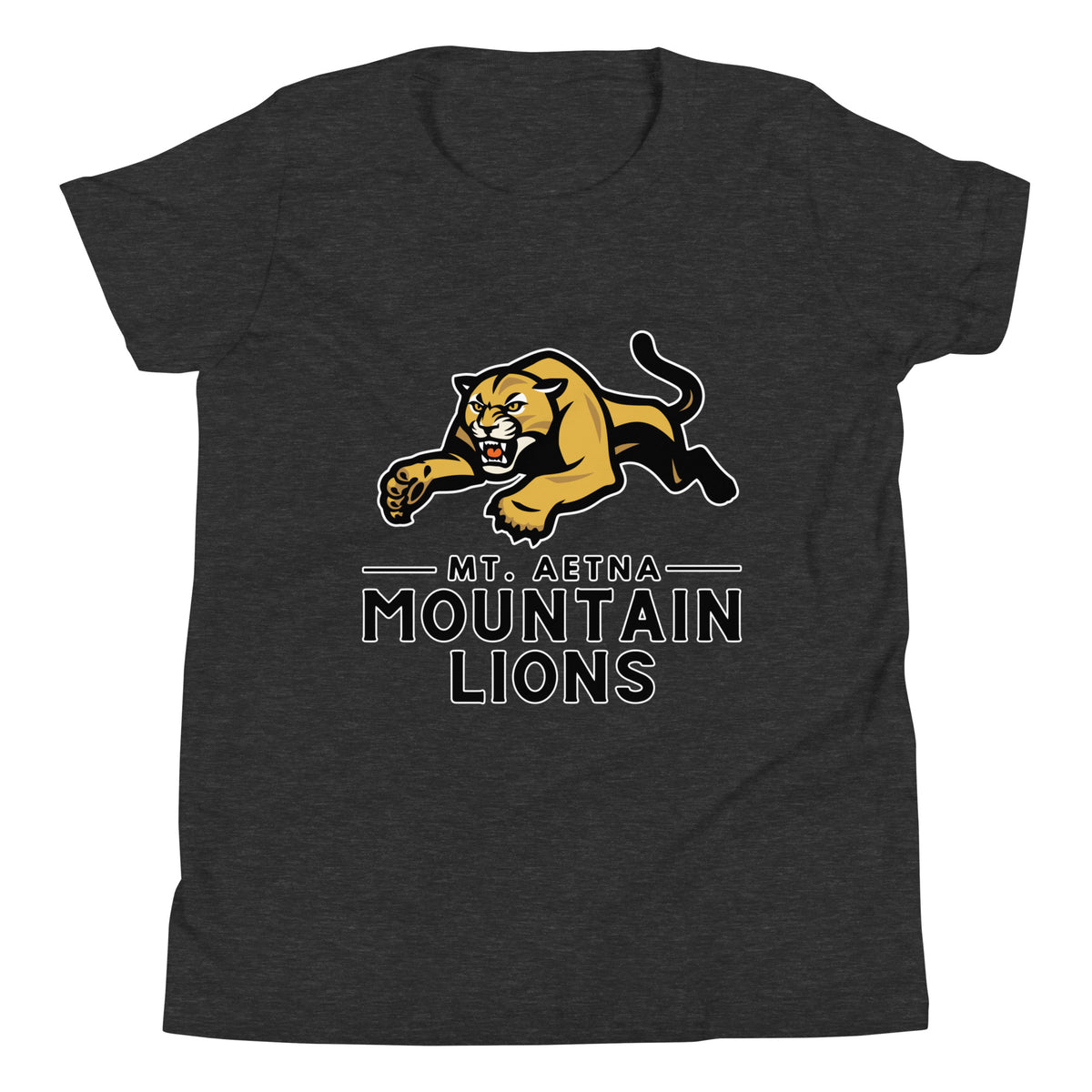 Performance | Youth T-Shirt | Mt. Aetna Adventist School | Emblem Logo