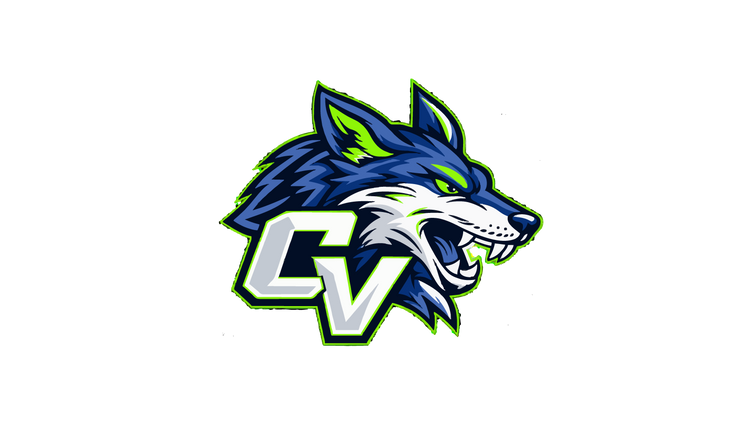 Cumberland Valley Coyotes Football Collection Image