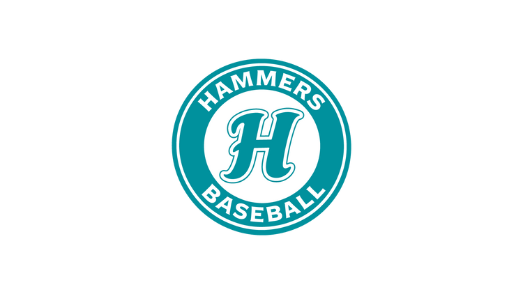 Hammers Baseball (10U) - Makefield