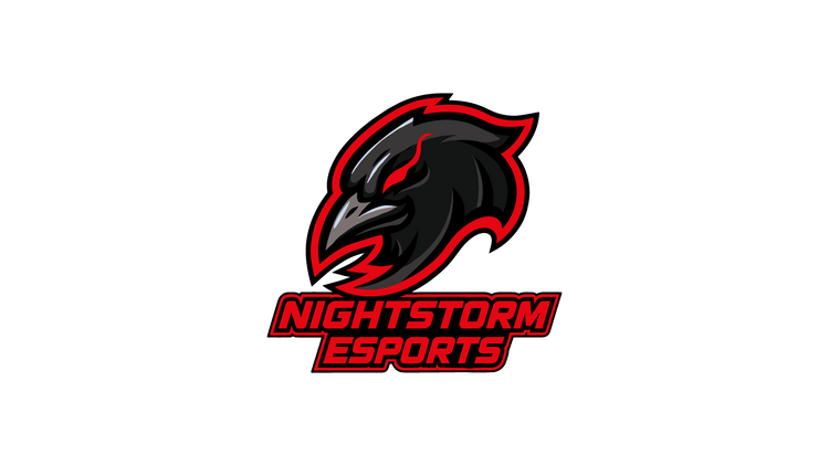 NightStorm Esports - Makefield